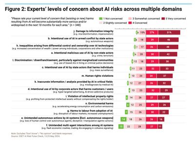 AI Risks